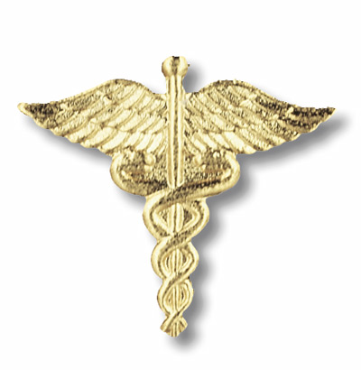 Caduceus Pin
