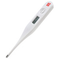 Digital Thermometer