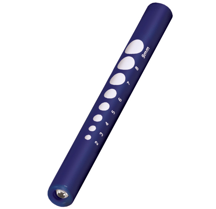 Pupil Gauge Disposable Penlight-